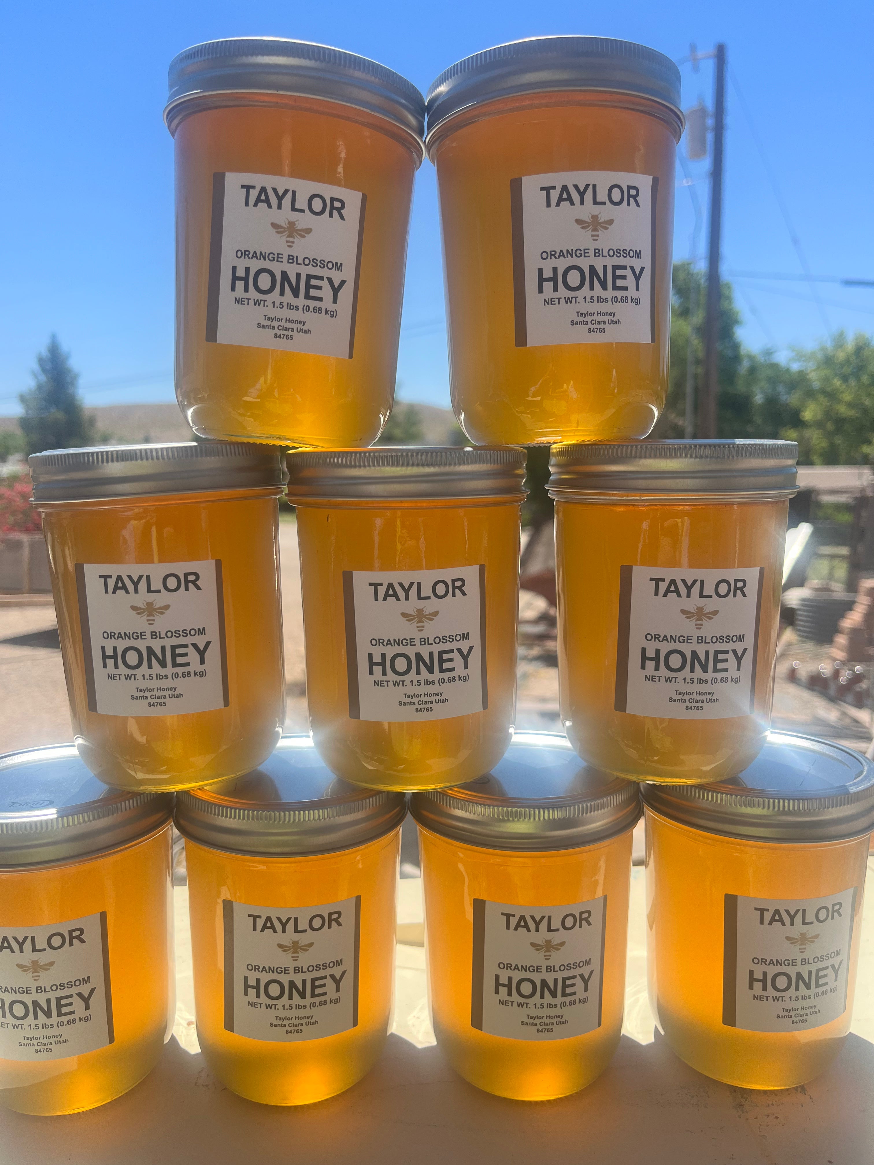 Jars of Taylor Orange Blossom raw Honey stacked outdoors with a clear sky.